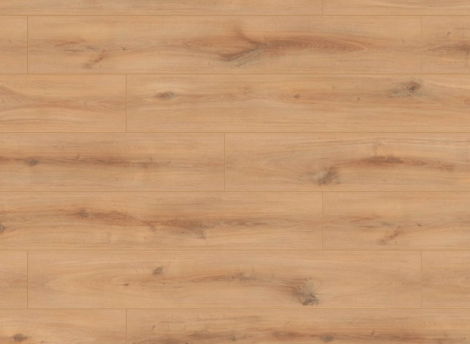 BIONYL PRO - FAIRLAND OAK - 1517